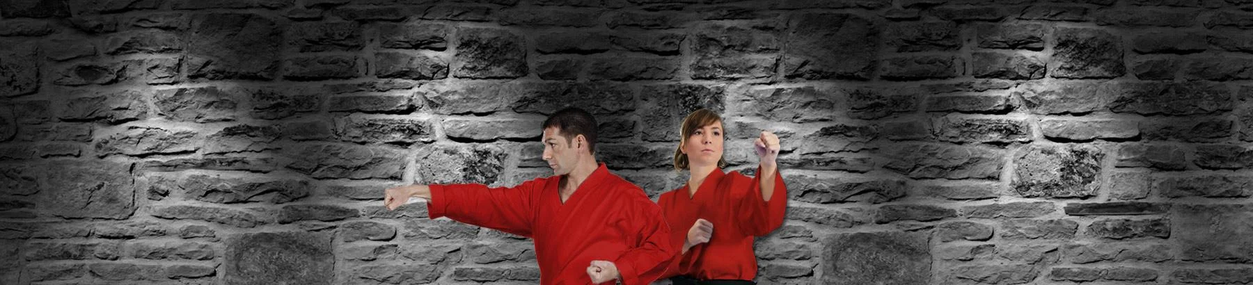 The Brown's TKD Institute Team, Certified Instructors